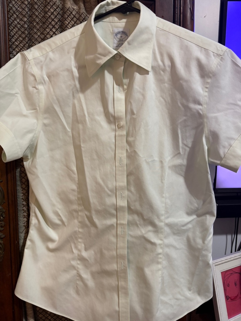 Brooks Brothers Pistachio Short-Sleeve Dress Shirt size 10 women